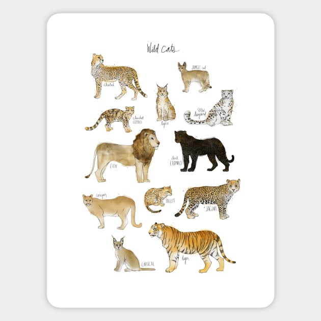 Wild Cats Magnet by Amy Hamilton